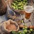 3. Productos agroalimentarios de origen vegetal 