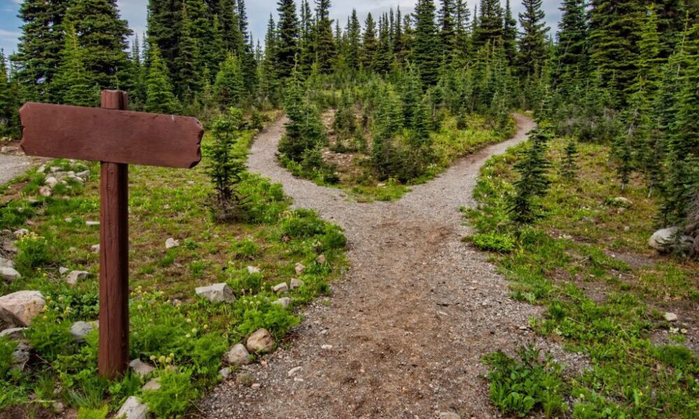 Caso empresa Export Specialist