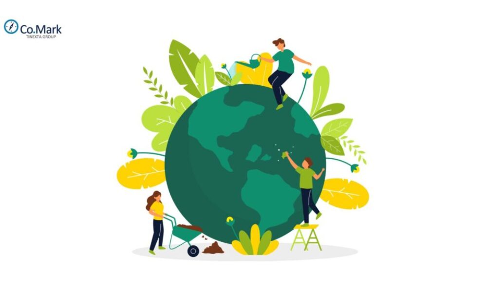 La sostenibilidad como ventaja competitiva en la exportación