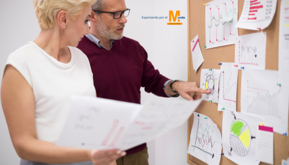 Copia de Sin título (3)